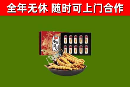 伍家岗烟酒回收冬虫夏草礼盒.jpg